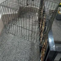 قفس|لوازم جانبی حیوانات|اسلام‌‌آباد غرب, |دیوار