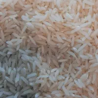 فروش برنج هاشمی
