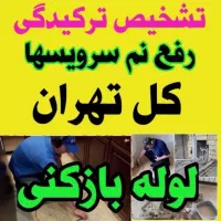 لوله بازکنی شهرری دولت آباد کیانشهر باقرشهر کهریزک|خدمات پیشه و مهارت|ری, دولت‌آباد|دیوار