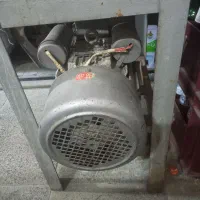 یک عدد چرخ گوشت سالم استار