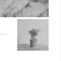 ملک تجاری خیابان صدری