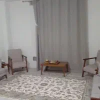 واحد-63متری-سند-تک-برگ-ترنج