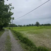 کد۴کله/۶هزارمترشالیزارسنتی که امتیازات پای زمینه