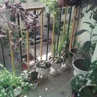 اجاره-آپارتمان-70-متری