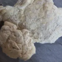 پنبه|رختخواب، بالش، پتو|سنندج, |دیوار