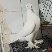 فراغت و سرگرمی