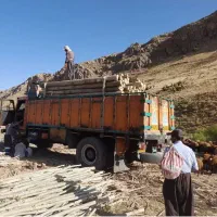 خریدار انواع چوب|خدمات باغبانی و درختکاری|کامیاران, |دیوار