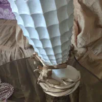 گلدان پلی استر ، رنگ سفید ، دکوری|صنایع دستی و سایر لوازم تزئینی|میاندوآب, |دیوار