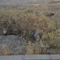 زمین-شمالی151-متری-واقع-در-زمینهای-رجبی-انقلاب8