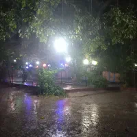 بوم گردی