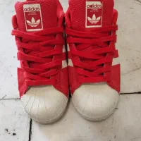 کتونی سوپر استار اورجینال zx8000 جا اکبند|کیف، کفش، کمربند|تهران, تهرانسر غربی|دیوار