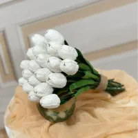 لاله و شیپوری فومی