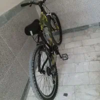 دوچرخه ویوا