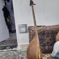 تارصوتی|سازهای سنتی|کاشمر, |دیوار