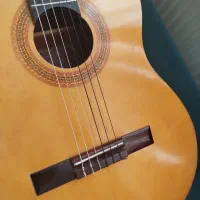 گیتار حرفه ای و خوش صدا