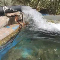 اجاره هفتاد هکتار زمین کشاورزی با آب و پمپ برقی