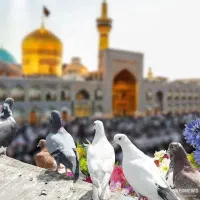 آفر هوایی مشهد ازتبریز