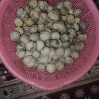 گردو خشک