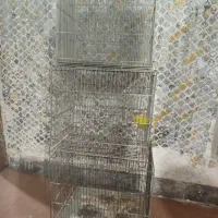 قفس سهره و قفس کاسکوی ۱۰۳۳|لوازم جانبی حیوانات|بندر امام خمینی, |دیوار