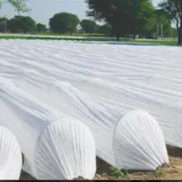 کاور ضد سرما