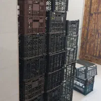 جعبه پلاستیکی سبد سیاه و سفید میوه گوجه انگور|ظروف نگهدارنده، پلاستیکی، یک‌بارمصرف|ارومیه, |دیوار