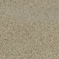 بذر گوجه ای