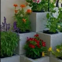 هرس و علف زنی وکلیه خدمات باغبانی|خدمات باغبانی و درختکاری|بندر انزلی, دهکده ساحلی|دیوار