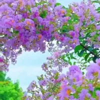 ویلایی آپارتمان۵واحدمعاوضه باملک خودرو و....