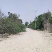 فروش زمین یک هکتار جنب پست برق آخر چهچکور|فروش زمین و ملک کلنگی|بندرعباس, |دیوار