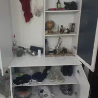 جاکفشی سالم