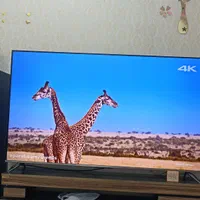 خریدار تلویزیون ال ای دی32و43و50و55و65 اینج در محل|تلویزیون و پروژکتور|مشهد, رستگار|دیوار