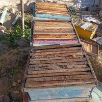 کندو خالی|حیوانات مزرعه|آبش احمد, |دیوار