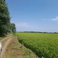 یک-هکتار-زمین