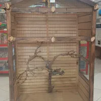 قفس چوبی پرندگان باقیمت استثنایی