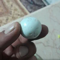 سنگ اسیاب|جواهرات|ورامین, ورامین|دیوار
