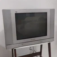 تلوزیون پاناسونیک|تلویزیون و پروژکتور|رشت, پیرکلاچای|دیوار