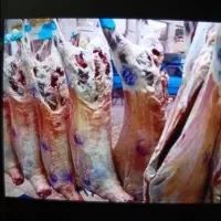 قصابی-در-بهترین-جای-سپاد