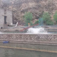 ماهی قزلآلا تازه ساده.سالمون مرغ،پوقلمون|ماهی|مشهد, شاهد (شهرک غرب)|دیوار