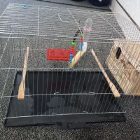 قفسه‌ پرنده