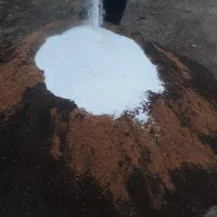 خاک گلدان|گل و گیاه طبیعی|رباط‌کریم, نوده|دیوار