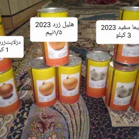 بذر پیاز زرد و سفید