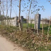 230متری-سند-تک-برگ-1-کیلومتری-ساحل-زیباکنار