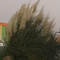 مدارک گم شده