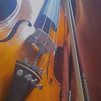 ویولن دست ساز|ویولن|فیروزآباد (فارس), |دیوار
