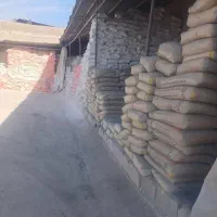 سیمان نی ریز کودیان