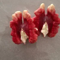 گردو لیورمور|خدمات باغبانی و درختکاری|قره ضیاالدین, |دیوار