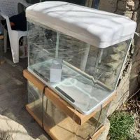 انواع ماهی و آکواریوم پمپ ابنما|ماهی|سنندج, |دیوار