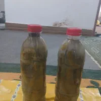 خیار‌شور‌بروجرد|خوردنی و آشامیدنی|بیرانوند, |دیوار