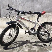 دوچرخه 20 فاریس