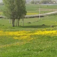 فروش خانه ویلایی ۱۱۰۰متر زیربنا۱۲۰متر|فروش خانه و ویلا|نیر (اردبیل), |دیوار
